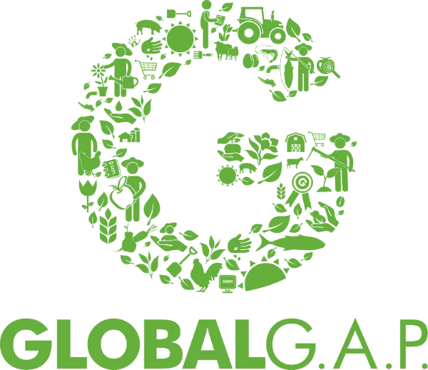 GLOBAL G.A.P certified