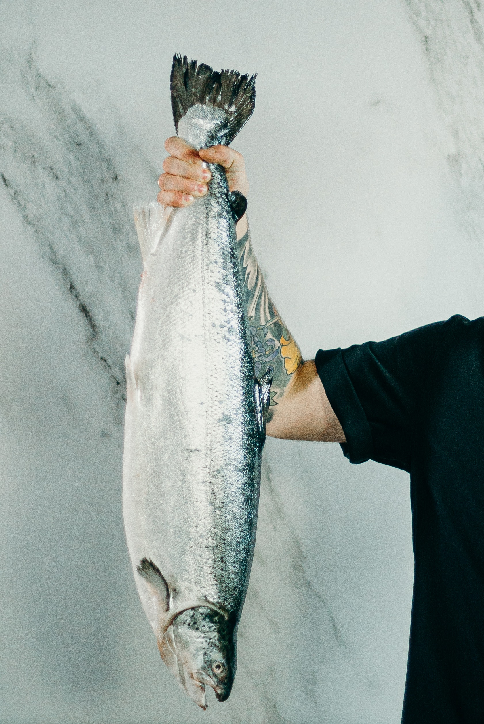 Fresh salmon
